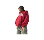 دورس و هودی